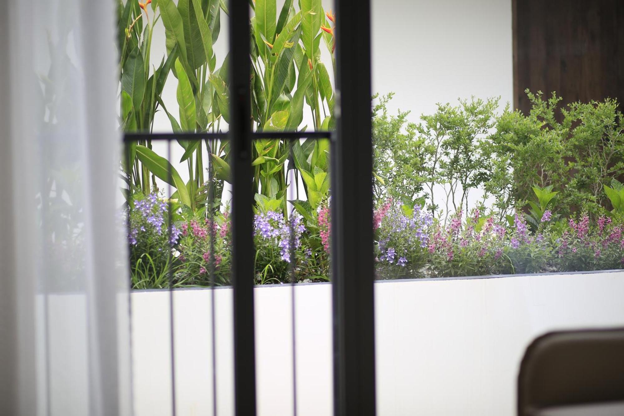 Dd Hospitality - Mi Amor Đà Lạt Ngoại thất bức ảnh